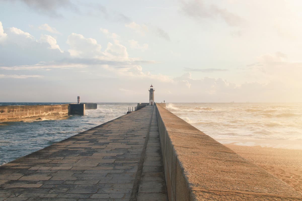 newsletter image